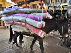 Burro transportando tapetes