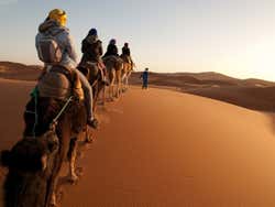 Deserto de Merzouga, camelos