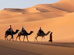 Deserto de Merzouga, camelos