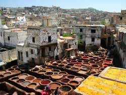 Fez
