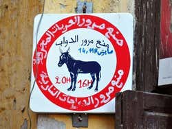 Transporte na Medina de Fez, o burro