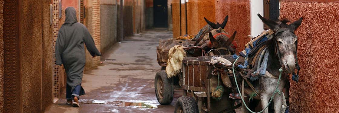 Transporte de Fez